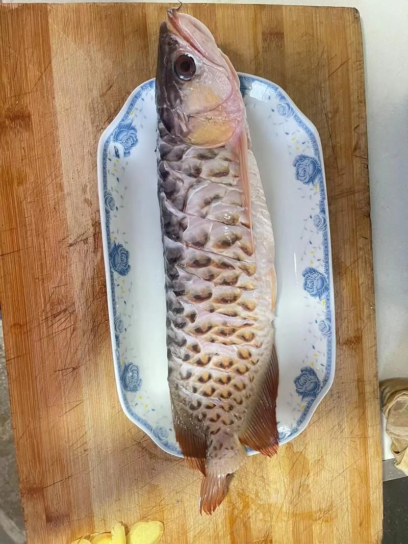 龍魚吃生豬肉會(huì)有什么反應(yīng)？，關(guān)于龍魚吃生豬肉的問題