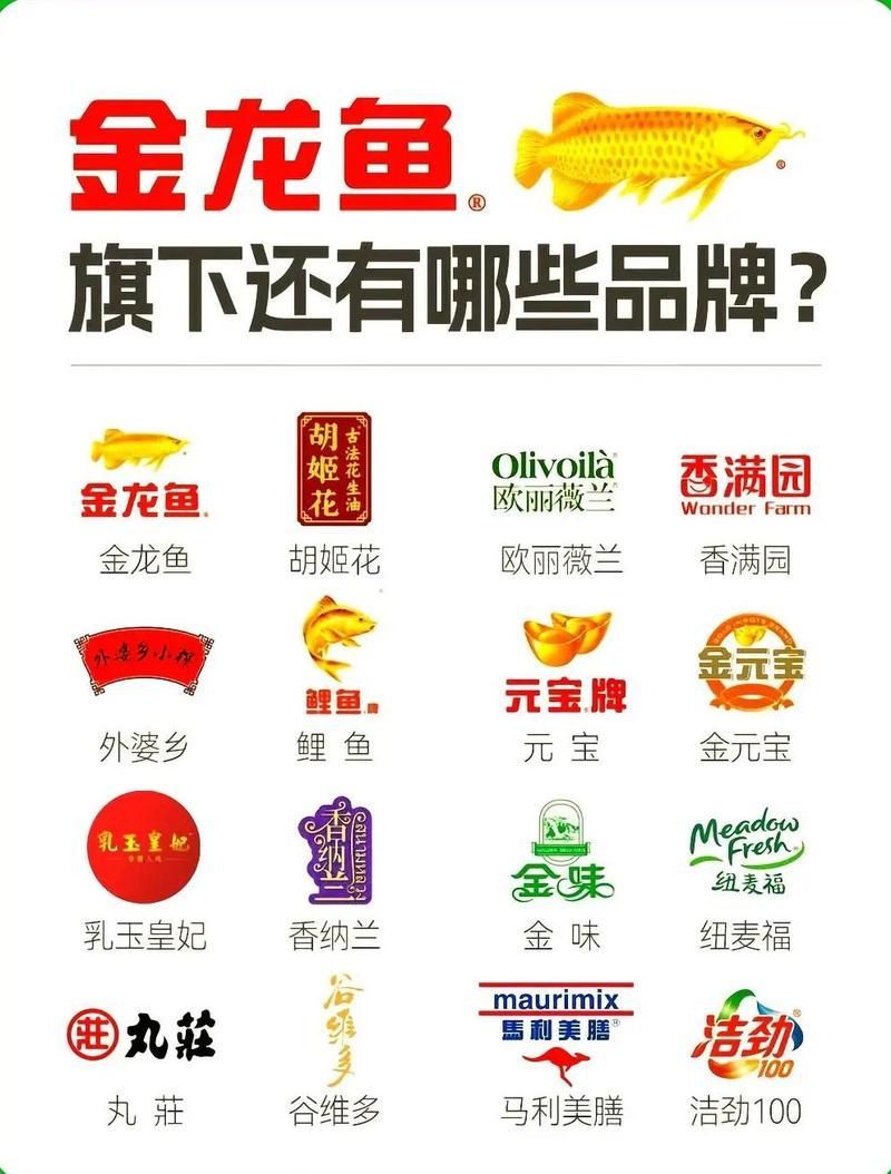 金龍魚有哪些主要產品，金龍魚產品牌全解析