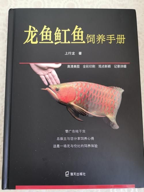 龍魚缸魚飼養手冊哪個品牌最好，龍魚缸魚飼養手冊哪個品牌最好《龍魚缸魚飼養手冊”
