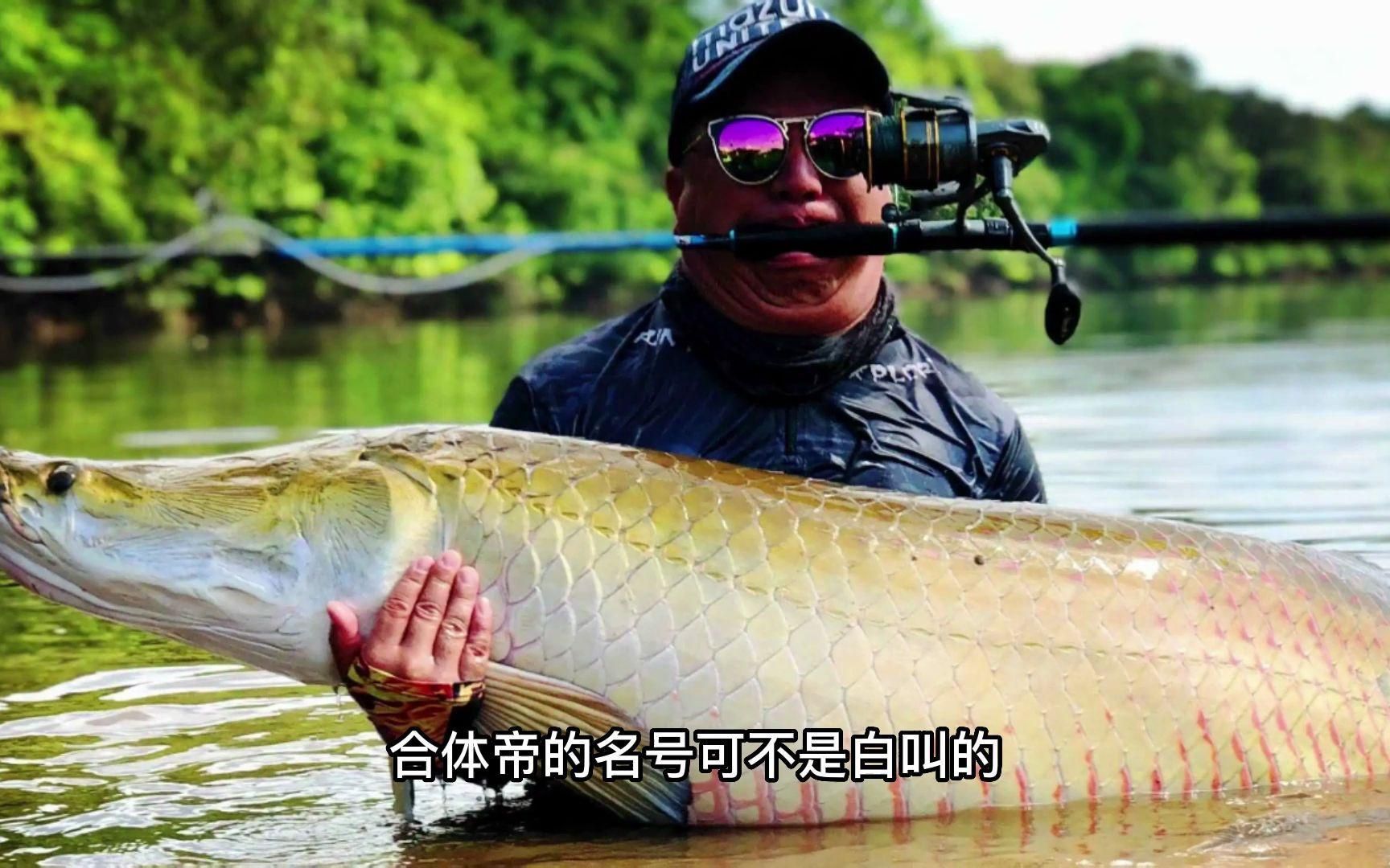 哪些魚不適合放在魚缸中，哪些魚不適合放在魚缸中，不適合養在魚缸中的觀賞魚