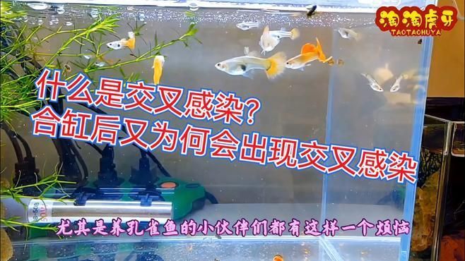 合缸交叉感染有哪些癥狀，合缸交叉感染有哪些癥狀調(diào)用工具百度健康-去問診