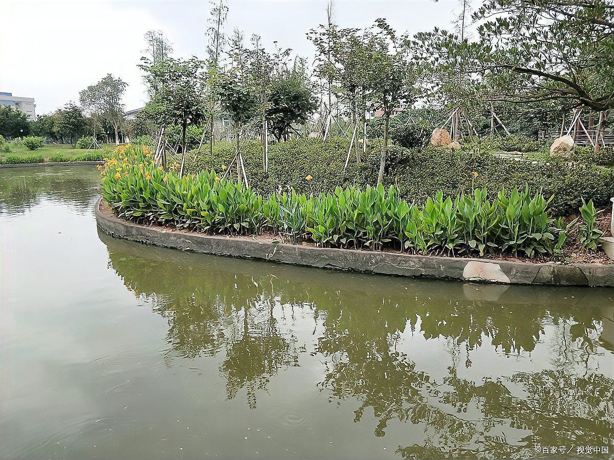 哪些藥物對(duì)特定魚種不安全，哪些藥物對(duì)特定魚種不安全的藥物不安全