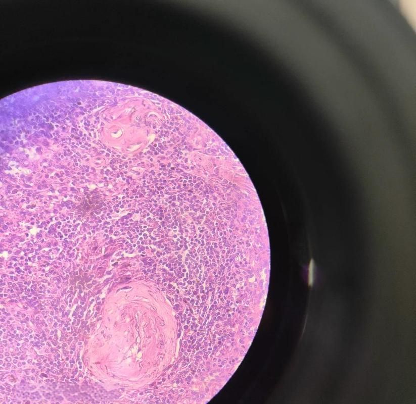 哪些藥物對特定魚種不安全，哪些藥物對特定魚種不安全的藥物不安全