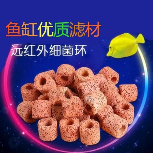 哪個品牌的細菌屋使用壽命最長，哪個品牌的細菌屋使用壽命最長森森和石英細菌屋哪個更耐用
