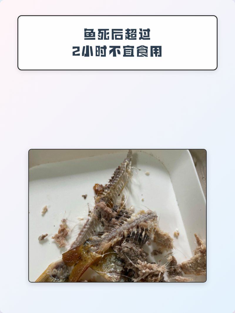 龍魚死后可以食用嗎，龍魚死后可以食用嗎,