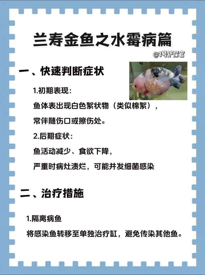 如何判斷金魚爛尾的類型