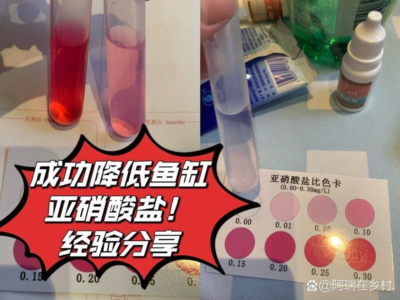 火龍魚中毒后有哪些治療方法，關于火龍魚中毒的一些建議