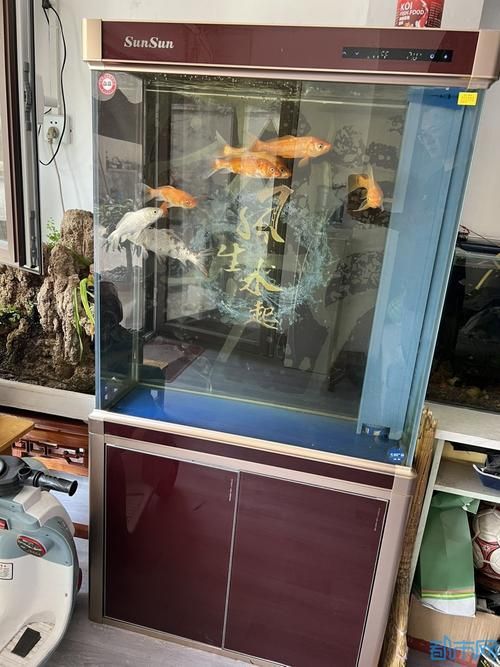 給我推薦幾款性價比高的龍魚缸設備，性價比高的龍魚缸設備推薦