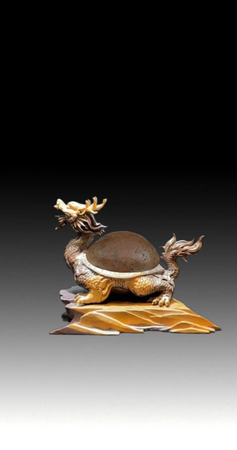 給我一張真正的龍龜圖片，云貴中國龍龜的化石發現地，給我一張真正的龍龜化石圖片