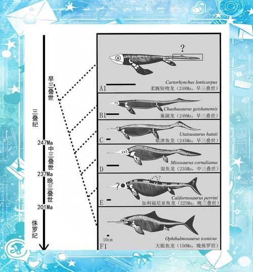 龍魚寬體基因有哪些優勢，龍魚寬體基因在養殖中的應用