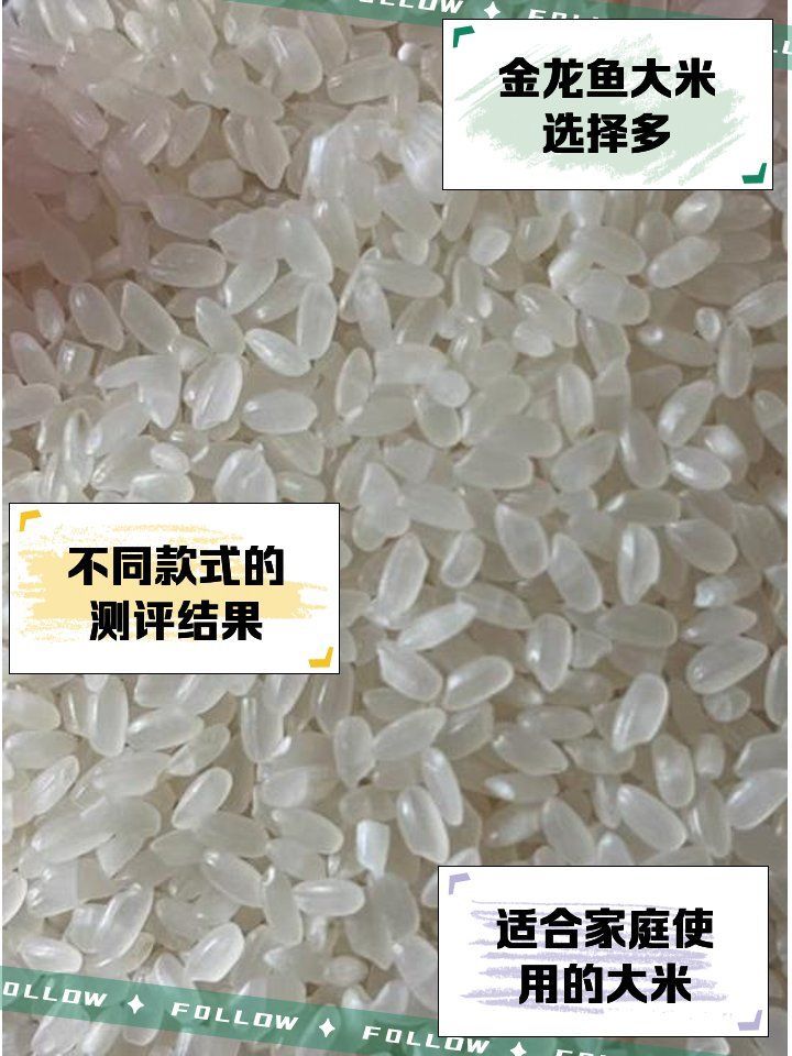 金龍魚哪個系列最受歡迎？，過背金龍魚哪個系列最受歡迎，