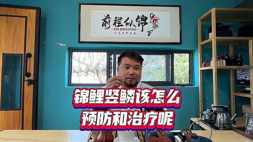 如何判斷錦鯉是否患有豎鱗病，如何判斷錦鯉患有豎鱗病