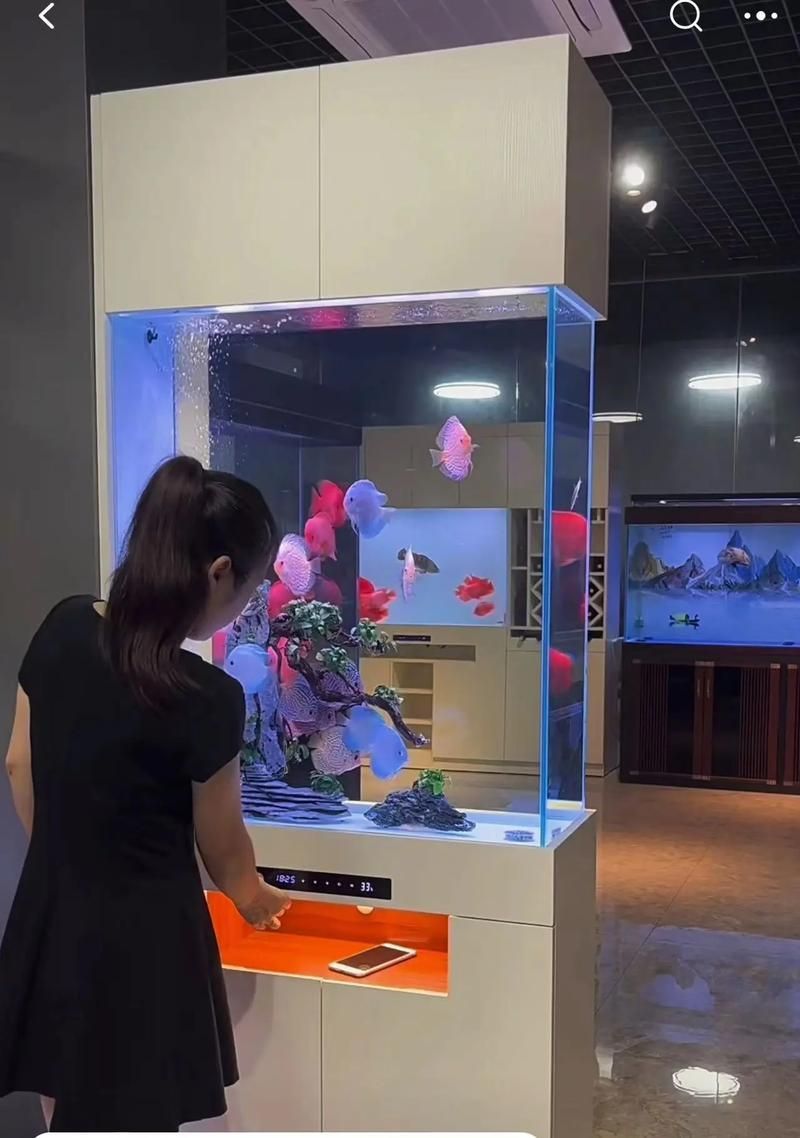 彩鰈魚缸有哪些定制選項？，彩鰈魚缸定制選項包括顏色、尺寸、形狀和功能和功能