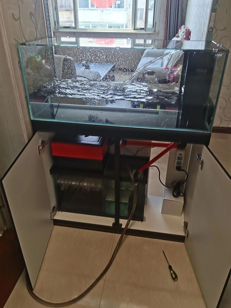 彩鰈魚缸有哪些定制選項？，彩鰈魚缸定制選項包括顏色、尺寸、形狀和功能和功能
