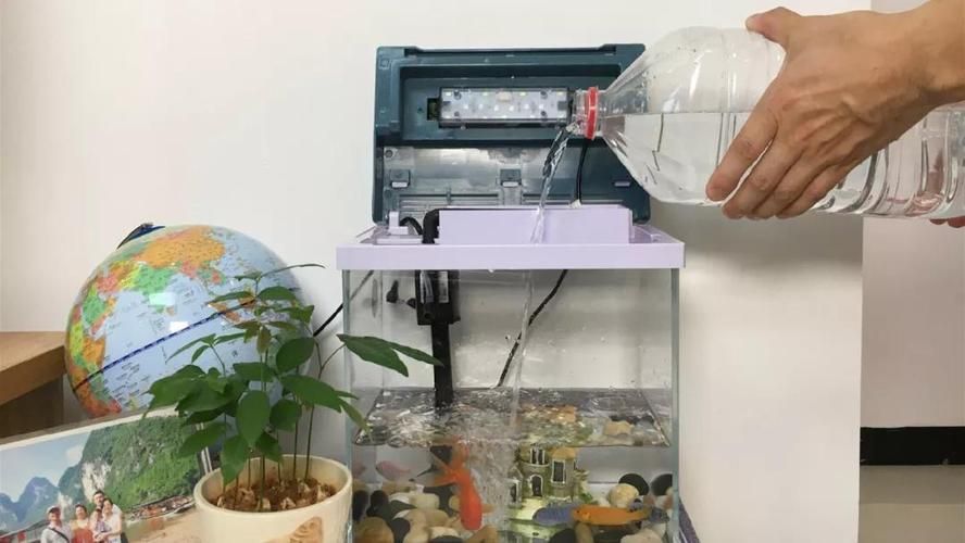 如何預防魚身充血復發，如何預防魚身充血復發思考完成arxiv論文助手