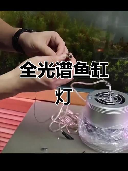 有哪些品牌的魚缸燈光推薦，魚缸燈光的選擇對(duì)于提升觀賞效果和生態(tài)環(huán)境至關(guān)重要