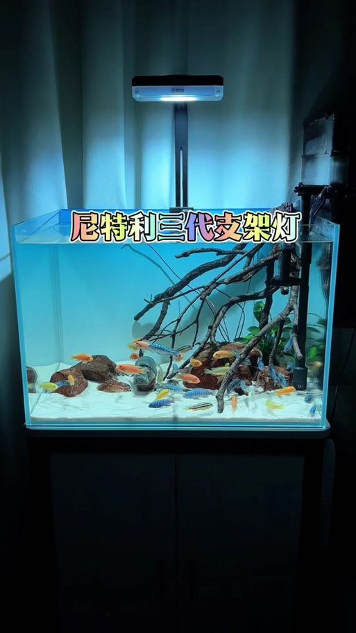 有哪些品牌的魚缸燈光推薦，魚缸燈光的選擇對(duì)于提升觀賞效果和生態(tài)環(huán)境至關(guān)重要