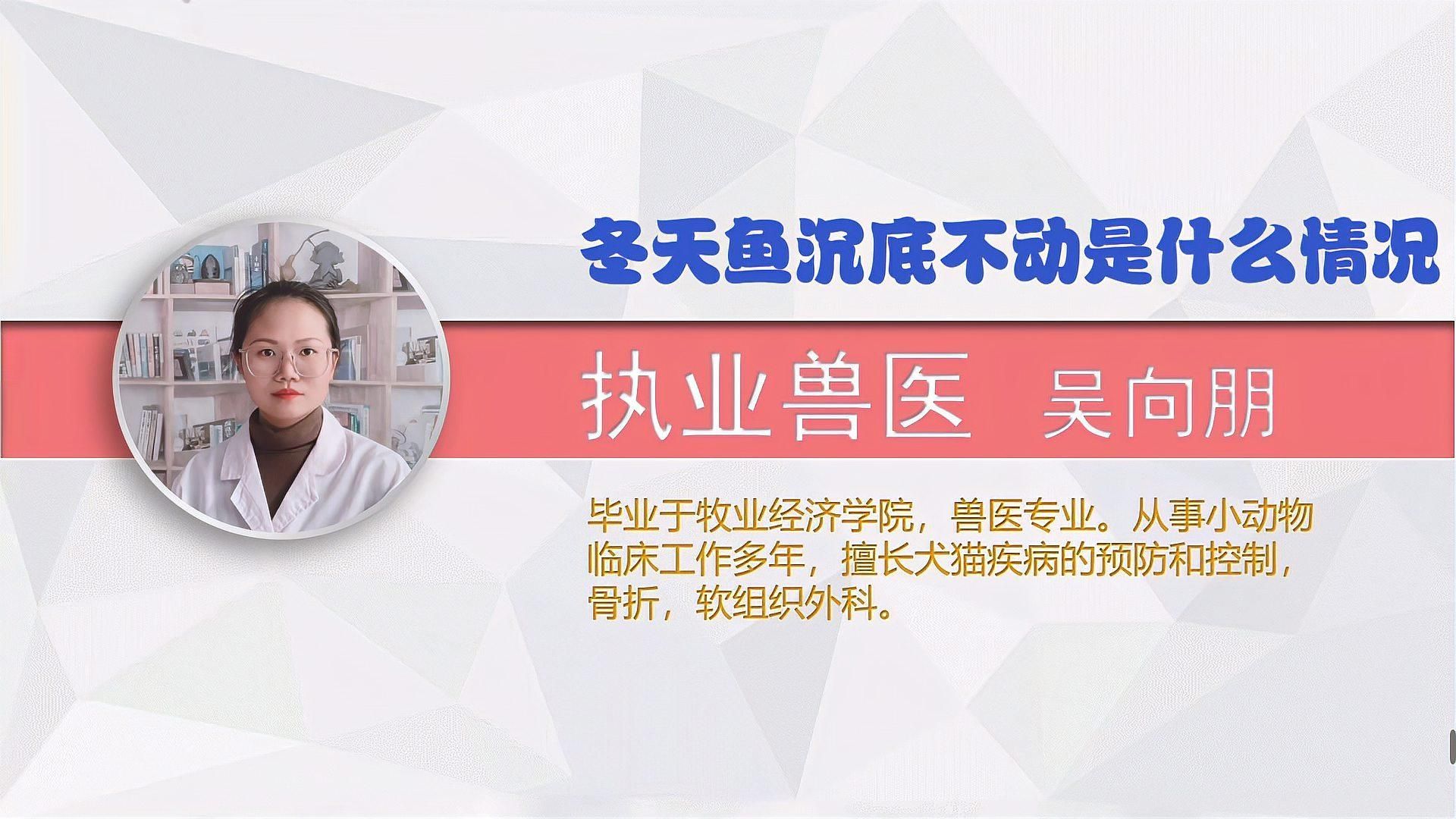 魚突然不活躍,躲在角落，魚突然不活躍、躲在角落，魚突然不活躍、躲在角落、躲在角落
