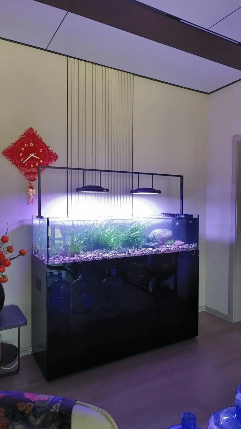 可麗愛魚缸的質量如何