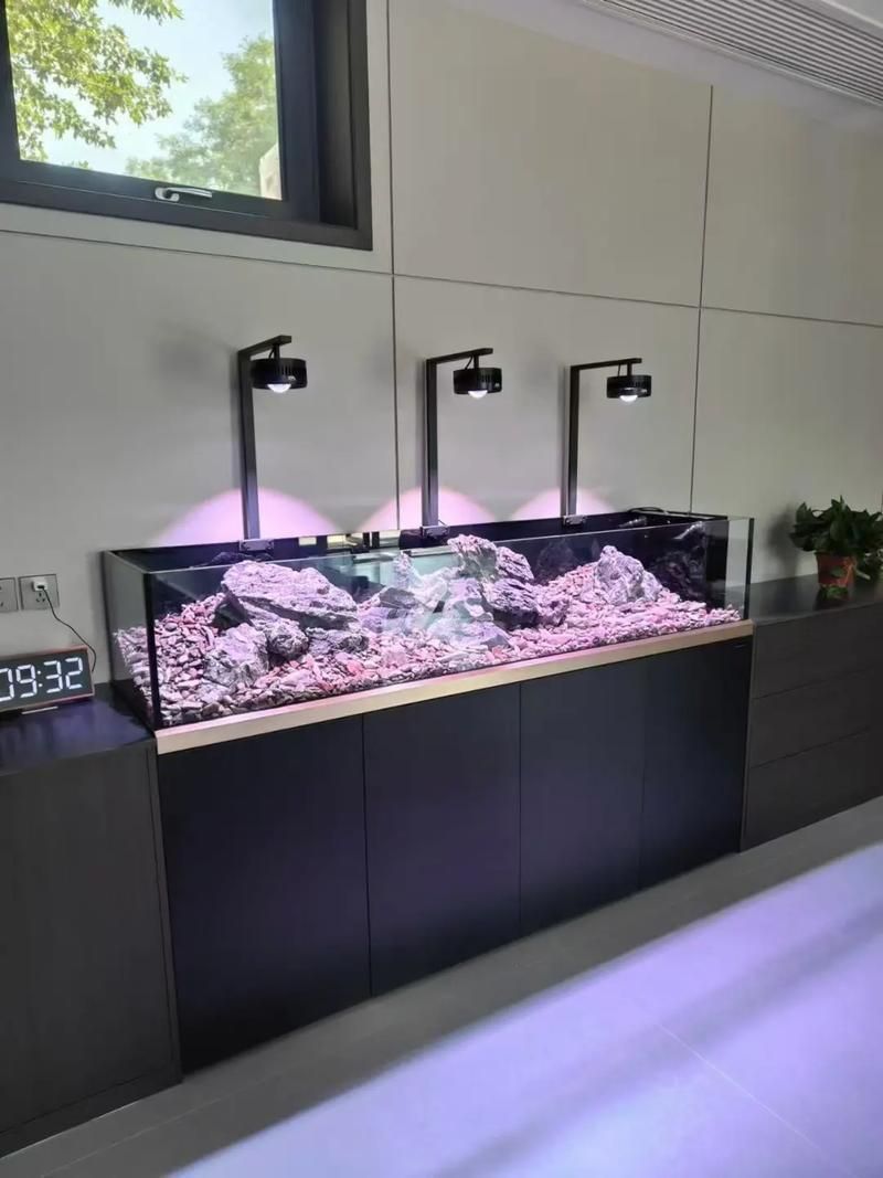 可麗愛魚缸的質量如何