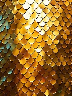 古典過背金龍視頻，關于古典過背金龍的信息整理