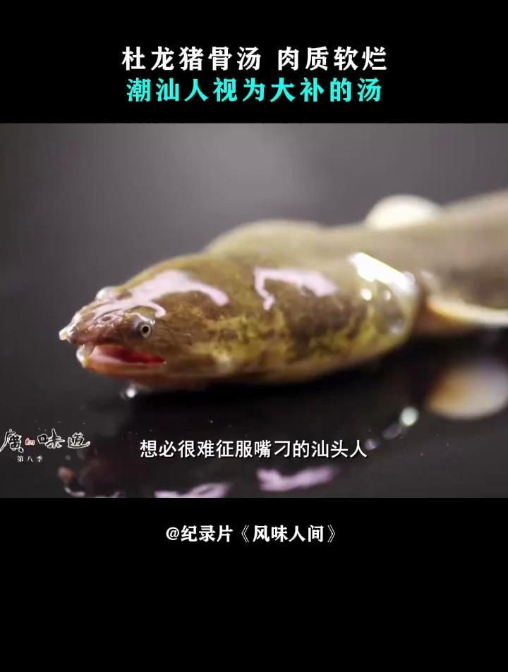 杜龍魚有哪些烹飪方法？，杜龍魚的烹飪方式