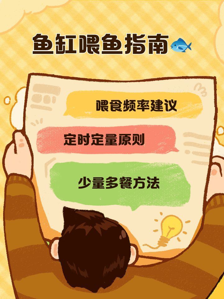 如何逐步過渡到活魚投喂，養(yǎng)魚老道，金魚科學(xué)投喂指南，需要注意哪些事項(xiàng)