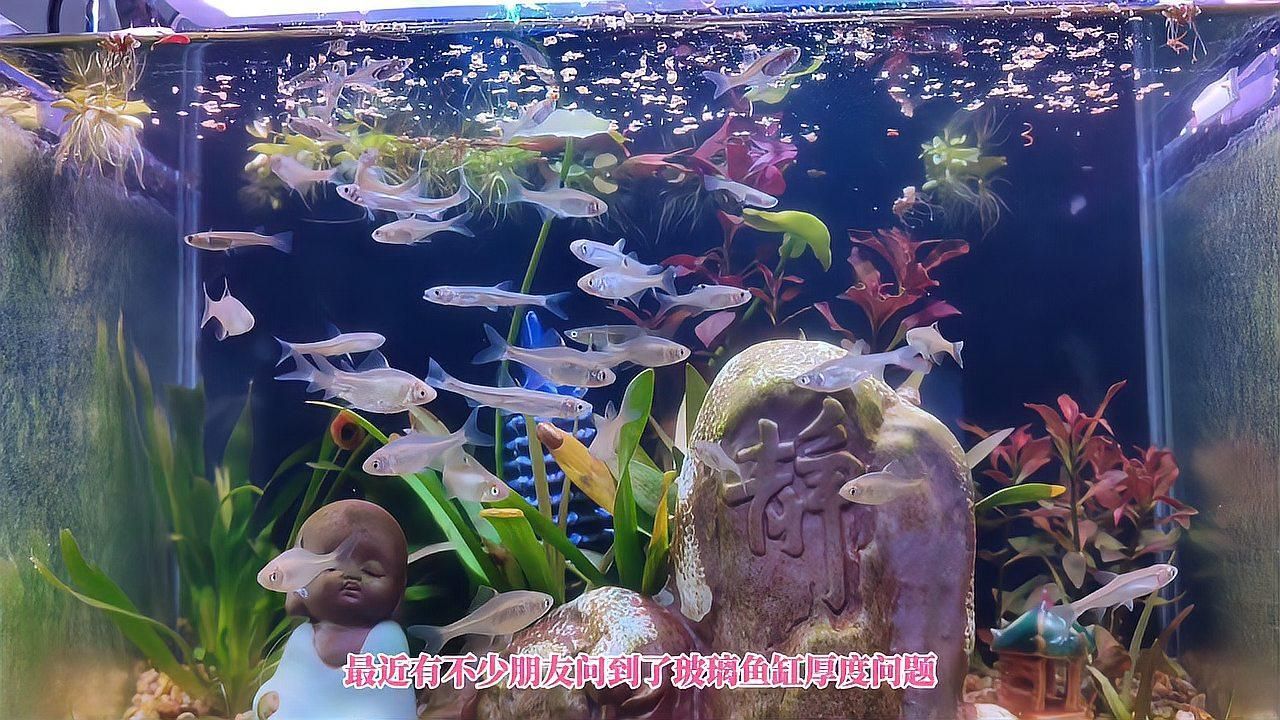 如何判斷魚(yú)缸玻璃的厚度，如何判斷魚(yú)缸玻璃厚度,魚(yú)缸玻璃厚度的選擇直接關(guān)系到使用安全