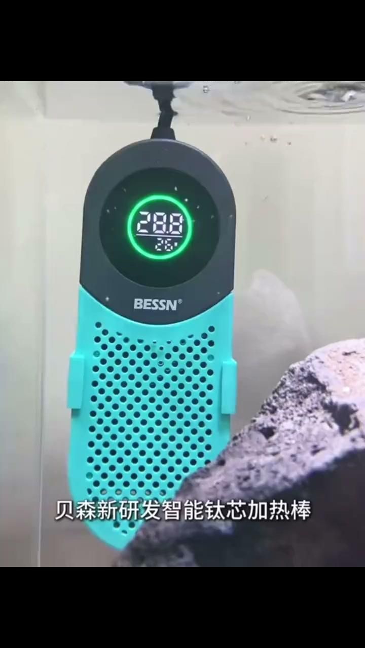 龍魚飼養(yǎng)需要準(zhǔn)備哪些設(shè)備