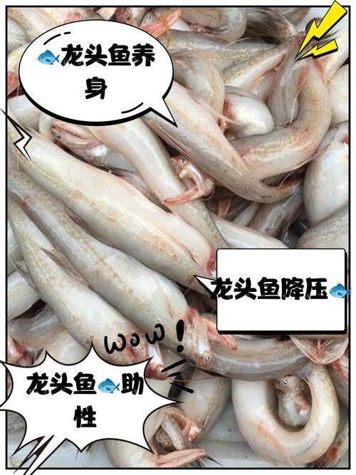 能推薦一些龍魚的營養價值嗎