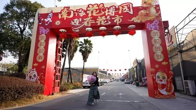 南海花卉博覽園龍魚購買指南，南?；ɑ懿┯[園龍魚購買指南南海花卉博覽園購買指南