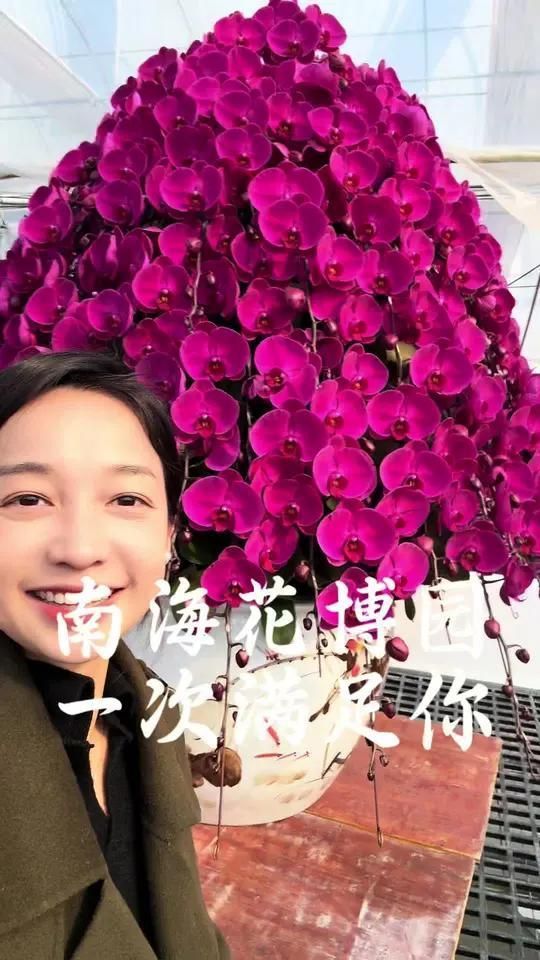 南海花卉博覽園龍魚購買指南，南?；ɑ懿┯[園龍魚購買指南南?；ɑ懿┯[園購買指南
