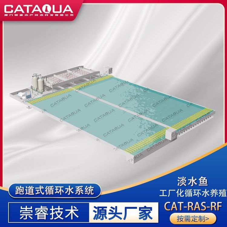 羅非魚養殖設備投資大概需要多少，羅非魚養殖設備投資