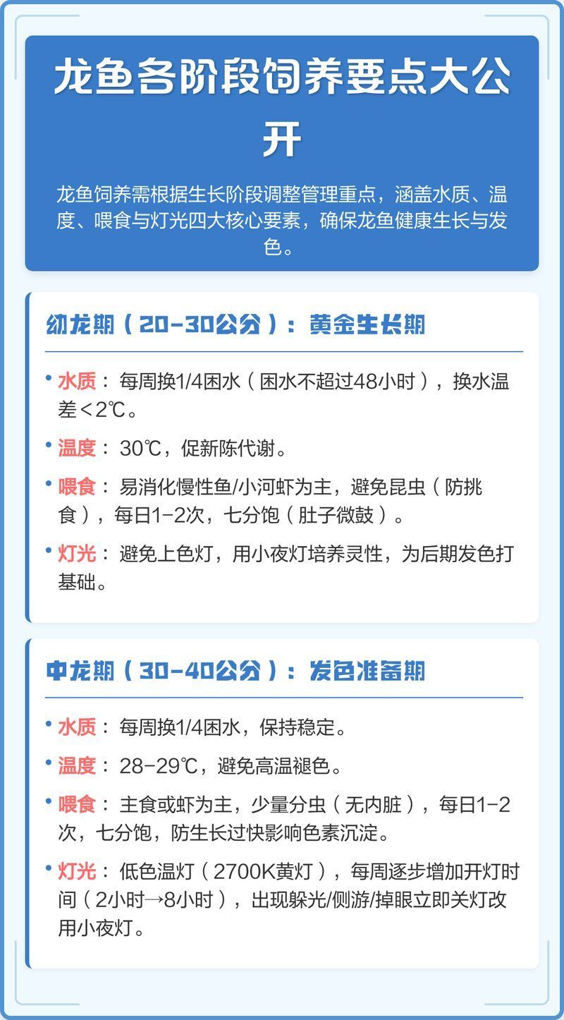 正安龍魚的養殖技術有哪些？