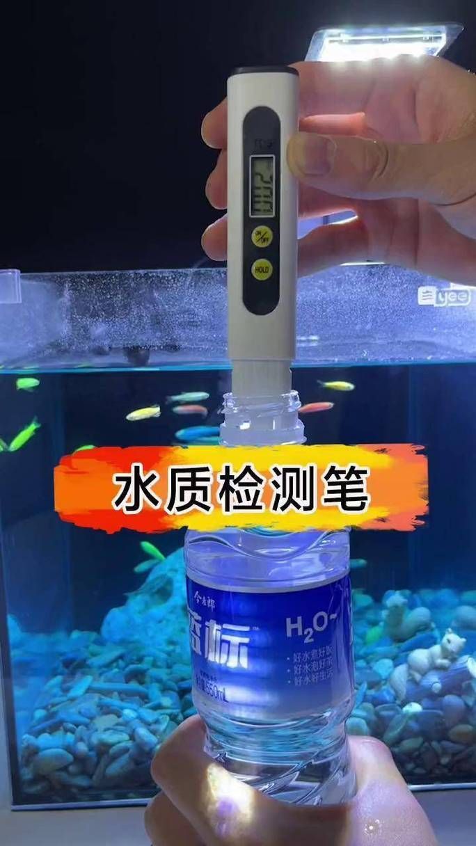 如何預防金魚爛尾巴潰爛，金魚爛尾巴潰爛的科學預防
