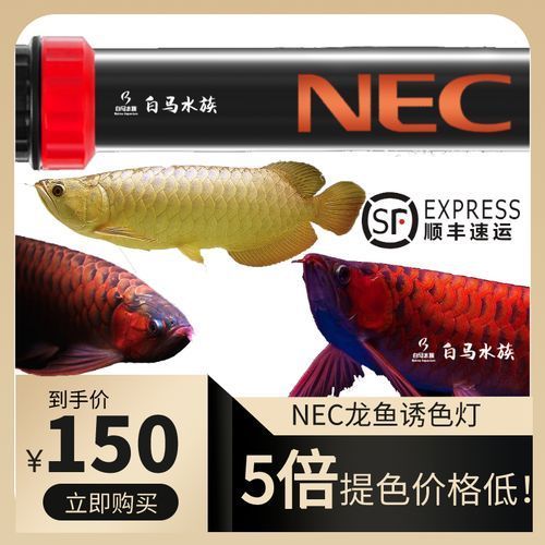 如何判斷龍魚燈是否達到6700K？，6700k龍魚燈是否達到6700k的亮度與6700k的亮度