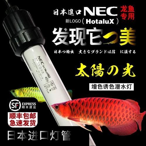 如何判斷龍魚燈是否達到6700K？，6700k龍魚燈是否達到6700k的亮度與6700k的亮度