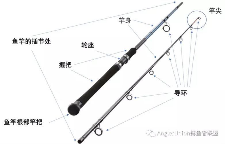 帝龍魚竿有哪些型號？，帝龍魚竿的主要型號