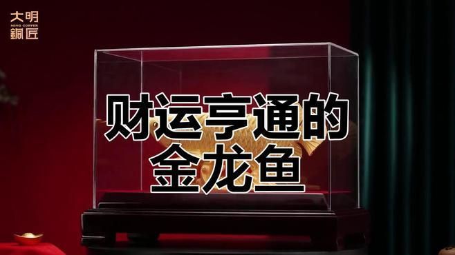 招財龍有哪些材質(zhì)，金龍魚總廠址環(huán)評報告全文，