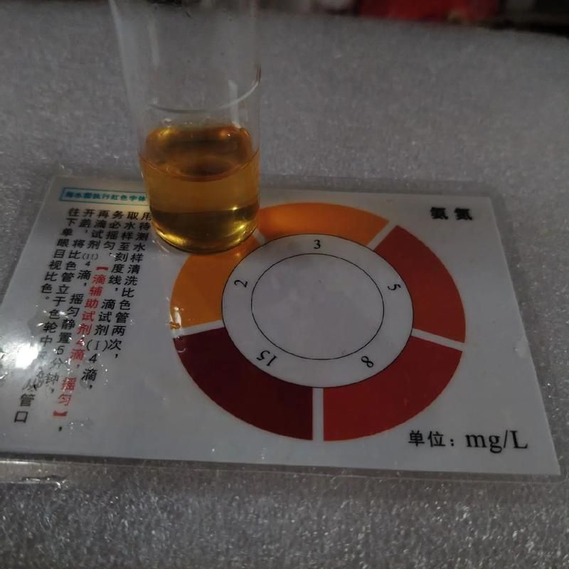 壓養龍魚會有什么健康風險？