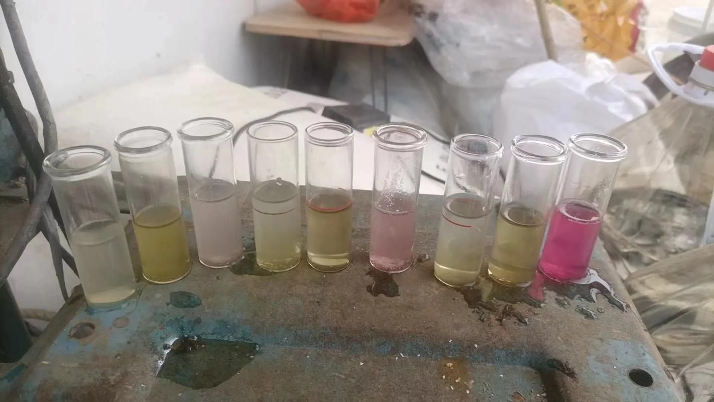 壓養龍魚會有什么健康風險？