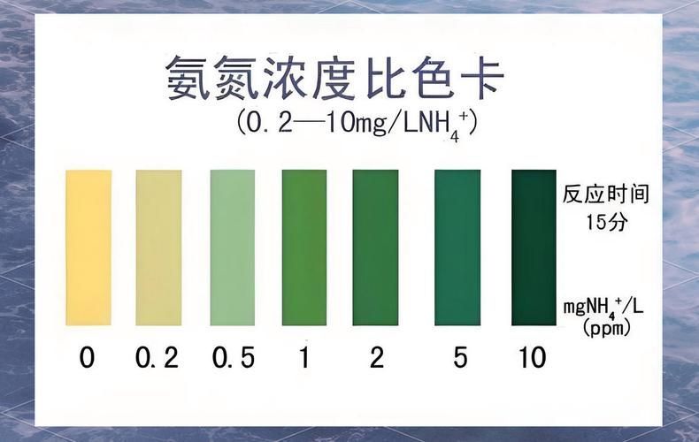 壓養龍魚會有什么健康風險？