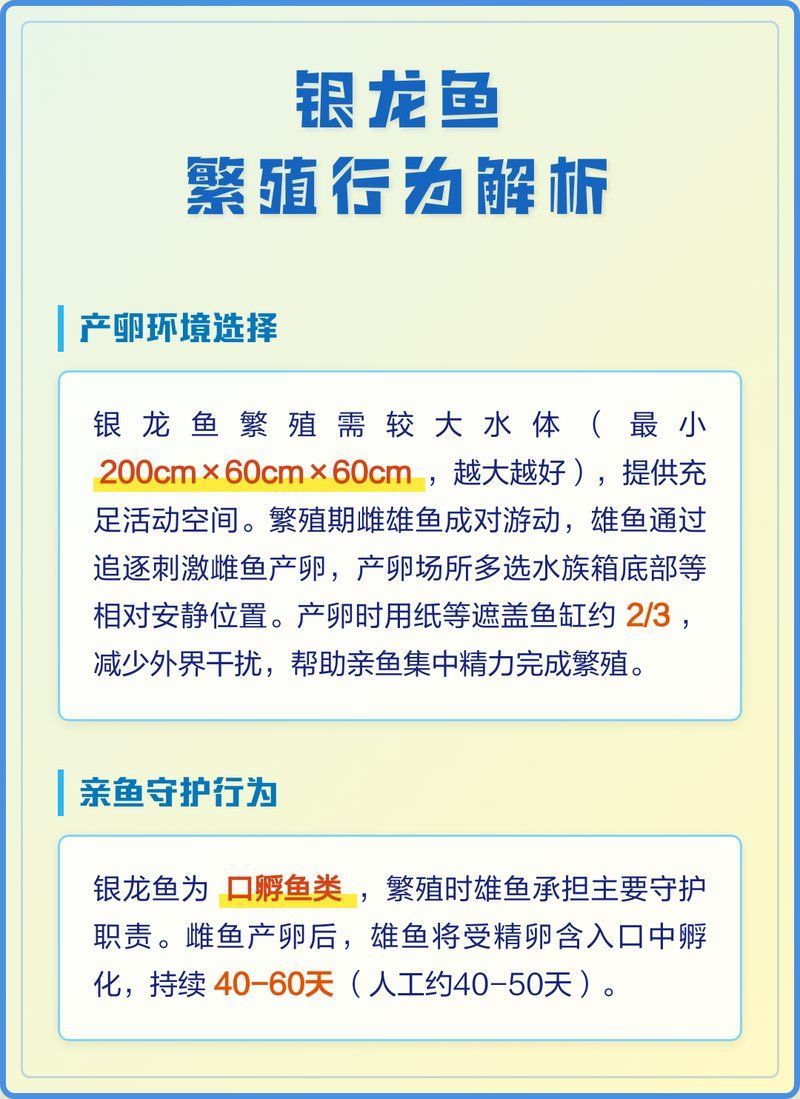 銀龍魚有哪些繁殖方法？，銀龍魚的繁殖方法