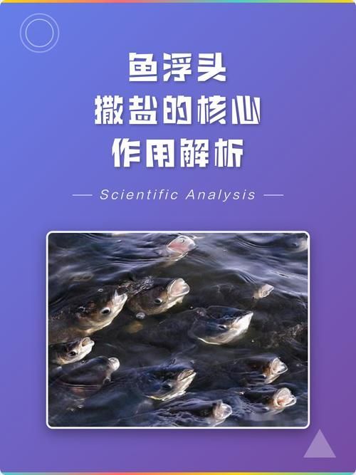 給我詳細的龍魚浮頭下鹽步驟圖片，龍魚浮頭下鹽的步驟