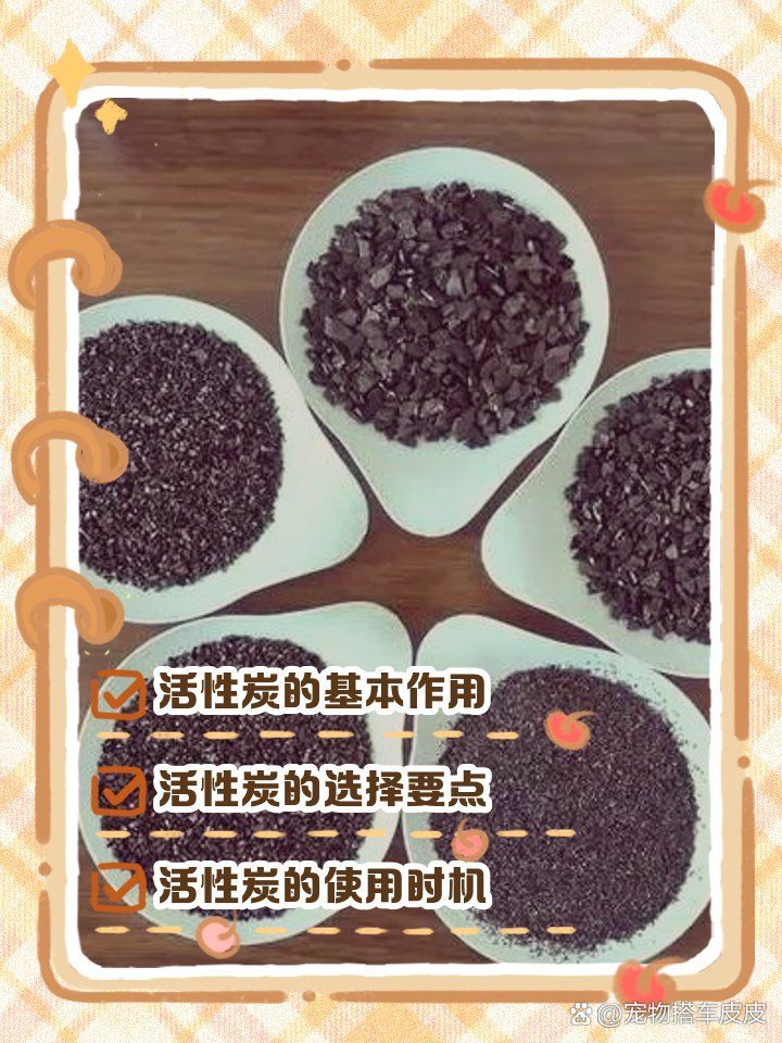如何改善龍魚缸的水質狀況？，如何改善龍魚缸水質