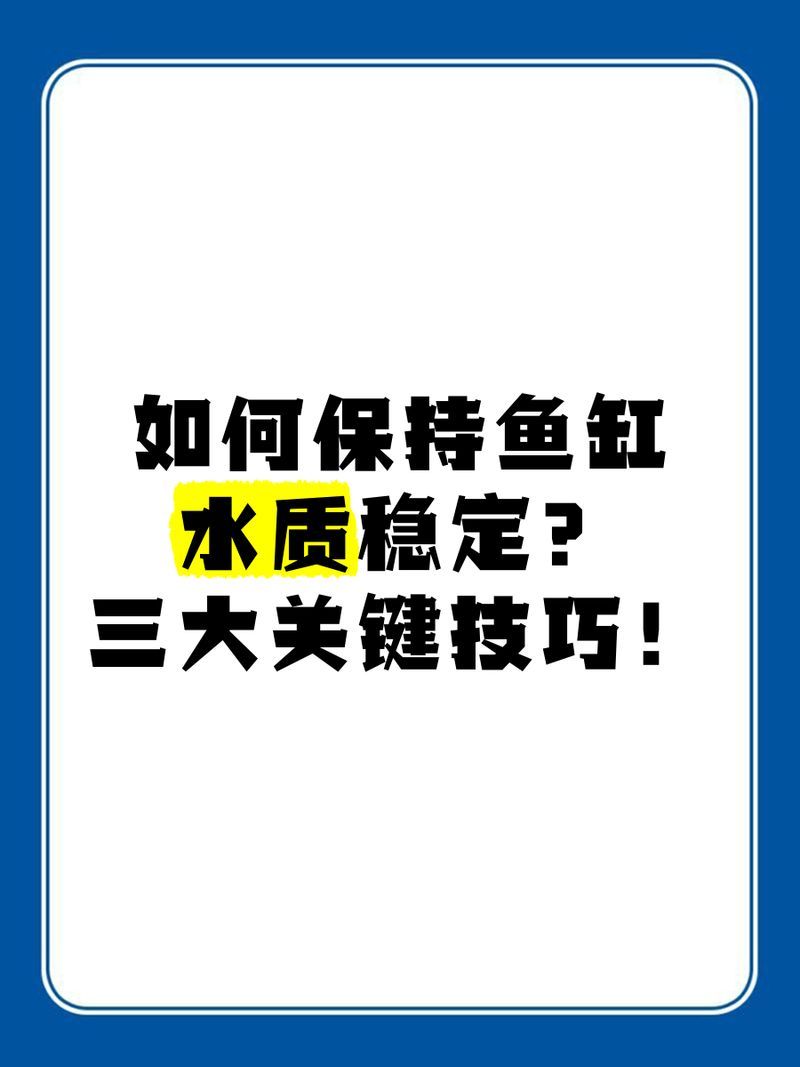 如何改善龍魚缸的水質狀況？，如何改善龍魚缸水質