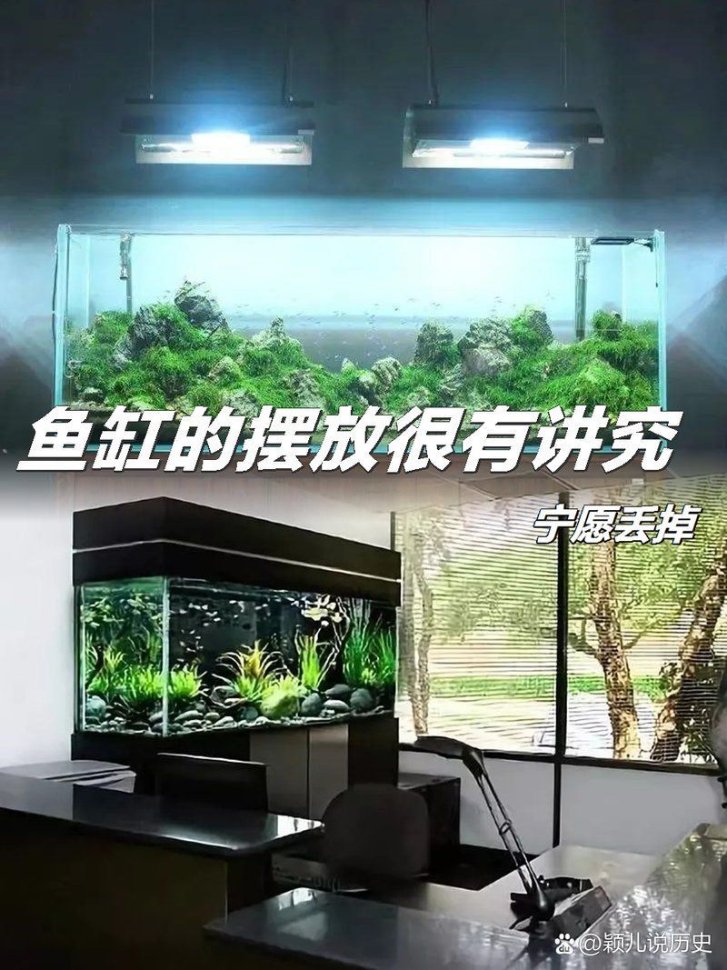 如何判斷魚缸和神位的方位