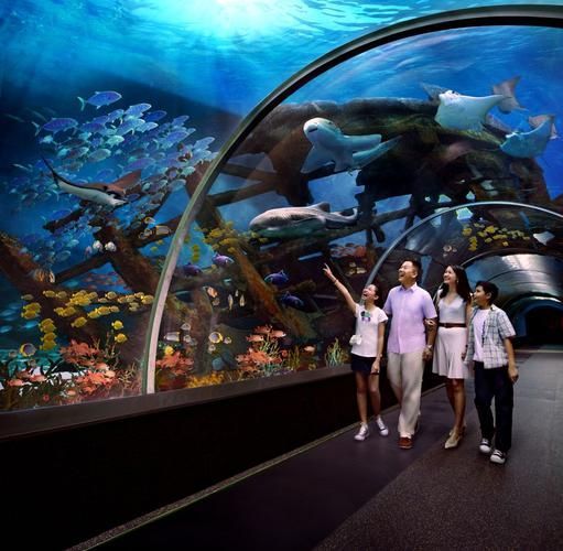 北戴河龍魚養(yǎng)殖基地有哪些？，關(guān)于北戴河龍魚養(yǎng)殖基地的問題