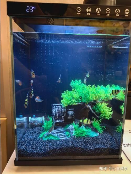 推薦幾款其他性價(jià)比高的魚缸，尋找性價(jià)比高的魚缸時(shí)，可以考慮以下幾款其他性價(jià)比高的魚缸