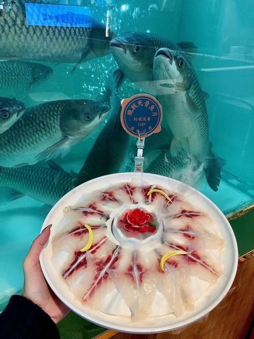脆魚和龍魚的價(jià)格差異有多大？